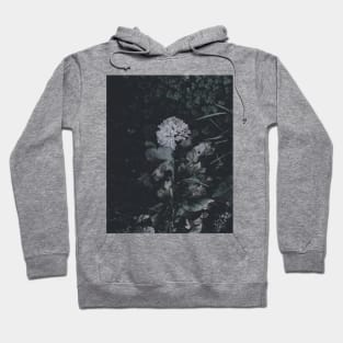 Dead Spring Hoodie